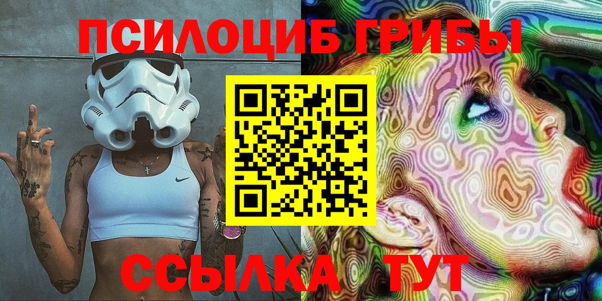 Псилоцибиновые грибы мицелий Гулькевичи