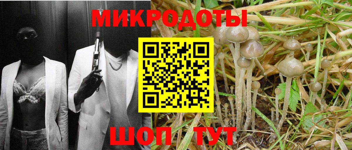 Галлюциногенные грибы Magic Shrooms  Вход с VPN  Гулькевичи 